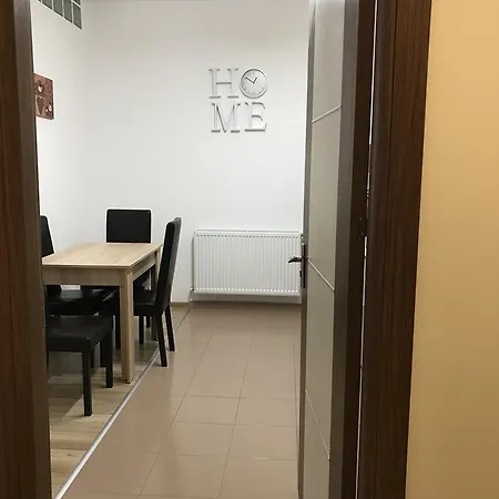 Modern Studio Apartment Brasov